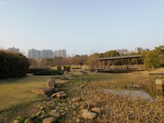 -白塘生态植物园