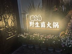 -菌自由丨野生菌火锅特色庭院餐厅(丽江古城店)