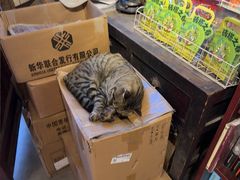 -正阳书局(西四南大街店)