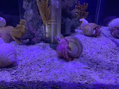 -太平洋海底世界