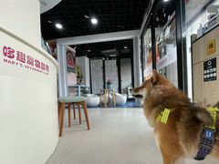 -哆趣宠物医院·眼科·内镜·急重症转诊中心(上海店)