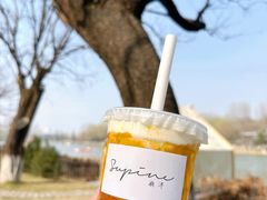 -Supine Bistro溯泮餐厅