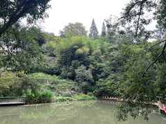 -莫干山风景区