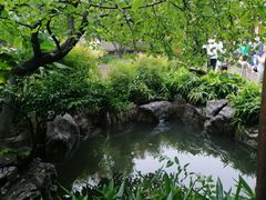 -趵突泉景区
