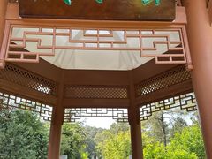 -铁山坪森林公园