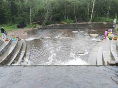 -五营红松林海景区