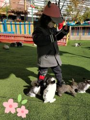 -萌宠亲子动物乐园(槐房万达店)