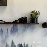 今日分享简约北欧风不规则门洞设计
