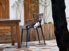 -喵屿·大理花园猫咖