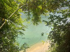 -羚羊峡古栈道森林公园