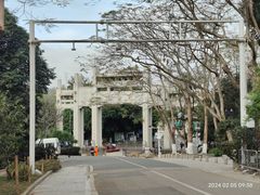 -梧桐山风景名胜区