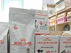 -瑞派紫金宠物医院24小时·骨科·中兽医·重症转诊中心(番禺大石院)