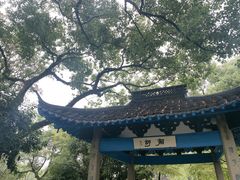 -西湖游船
