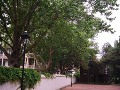 -蓝珊甄选海鲜自助·火锅大排档(近阿那亚店)