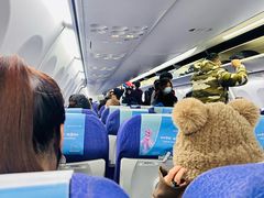 -郑州新郑国际机场-T2航站楼