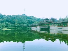 -重庆彩云湖湿地公园