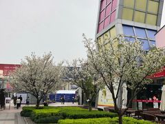 -证大大拇指广场(芳甸路店)