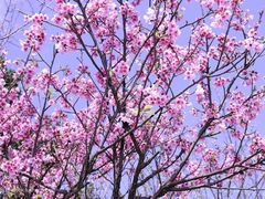 -馋胖肉蟹煲(洲河湾店)