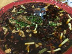 -东吴霸王兔(松青路店)