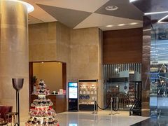 -南京禄口机场雅高铂尔曼大酒店