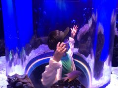 -芜湖新华联大白鲸海洋公园