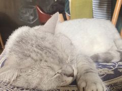 -不舍昼夜咖啡馆