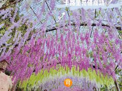 -黄腾峡天门悬廊