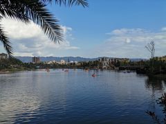 -枫香湖儿童公园