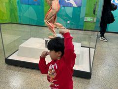 -国家自然博物馆