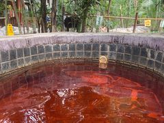 -龙达温泉生态城