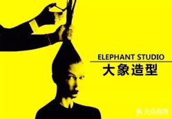 -大象造型