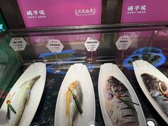 -鸽子侯·家宴·平价海鲜(绿地店)