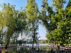 -莲花池公园