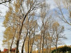 -长春世界雕塑园冰雪艺术天地