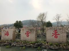 -香雪海