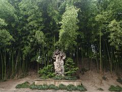 -水绘园