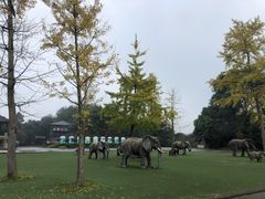 -保利石象湖景区