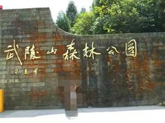 -武陵山森林公园