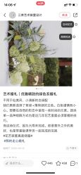 -保定金沙芝柏婚礼策划