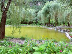 -沕沕水生态风景区