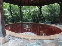 -天目湖涵田半山温泉