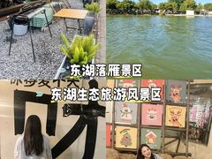 -东湖落雁景区
