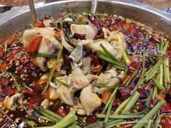 -乡土特色.冷锅鱼.牦牛肉汤锅