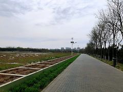 -大兴滨河森林公园