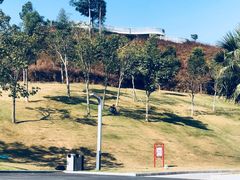-白石龙音乐公园