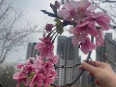 -小南山公园