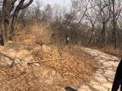 -北京西山国家森林公园