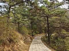 -金龙寺国家森林公园