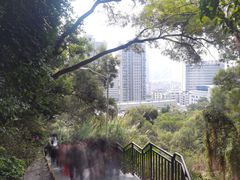 -仙岳公园