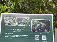 -福道